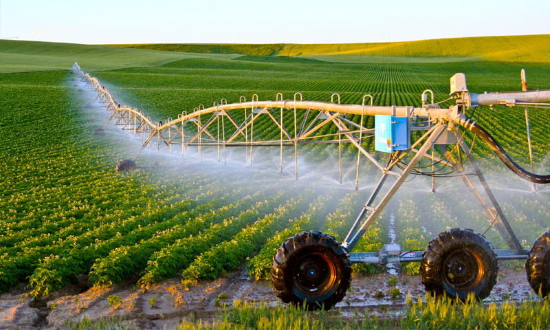 landscape irrigation services Dubai